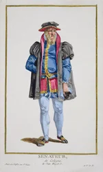 Un senatore di Colonia da 